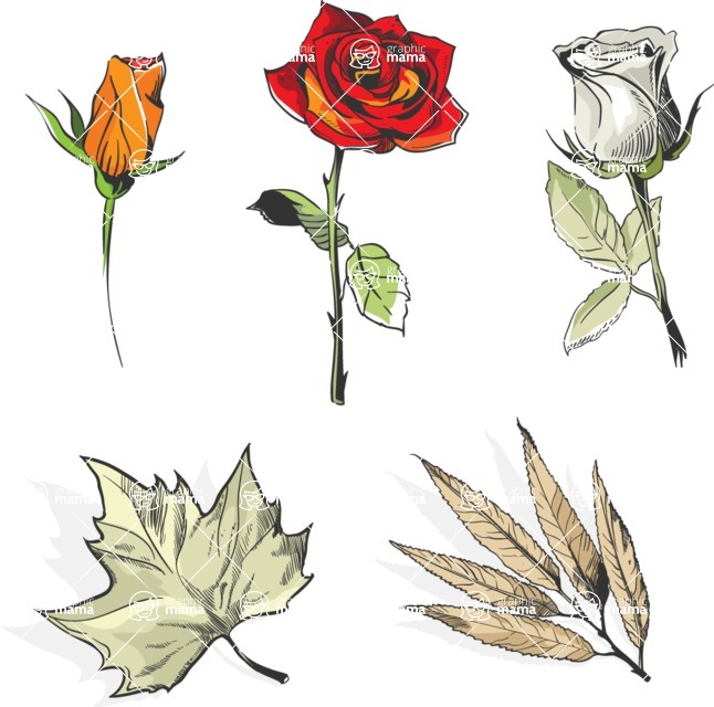 Vector Hand Drawn Elements Mega Bundle - Hand Drawn Flowers Vector Set